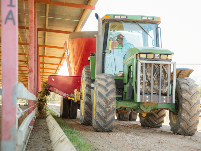 Feeding Tractor - Coggan Farms large green farm tractor