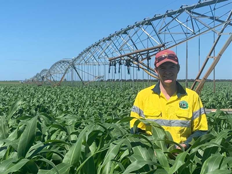Tom in the Crop - Coggan Farms Green farming crop, farmer with yellow shirt and cap, crop irrigation machinery in background